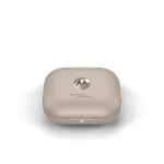 Flute-PumiceStone-CaseFrontViewClosePumiceStone