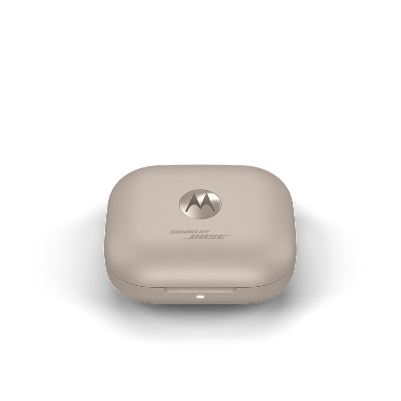 Flute-PumiceStone-CaseFrontViewClosePumiceStone