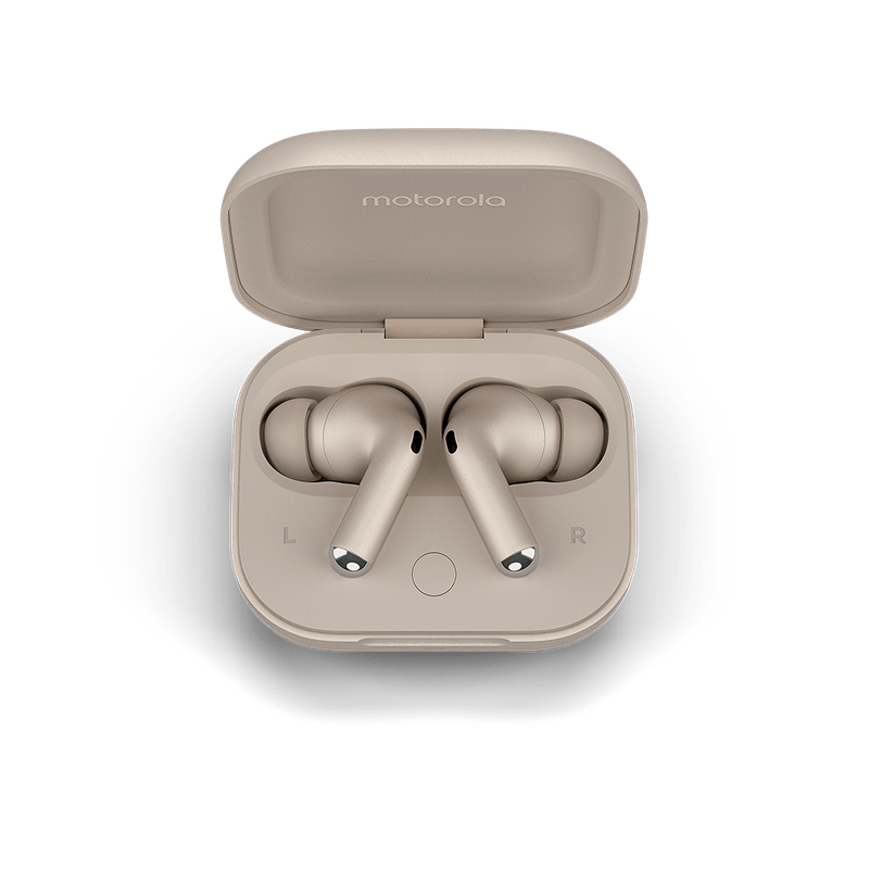 Flute-PumiceStone-CaseTopViewOpen