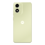 MotoE14-Verde-Backside