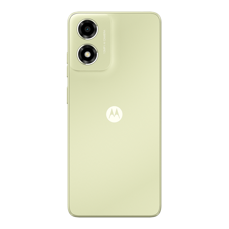 MotoE14-Verde-Backside